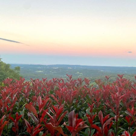 Flaxton Garden Home With Spectacular Coastal Views モントビル エクステリア 写真