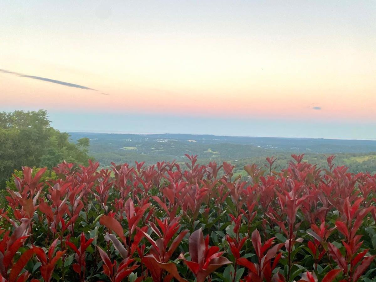 Flaxton Garden Home With Spectacular Coastal Views モントビル エクステリア 写真